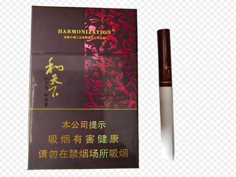 精细切丝与紧实滤嘴横切面结构